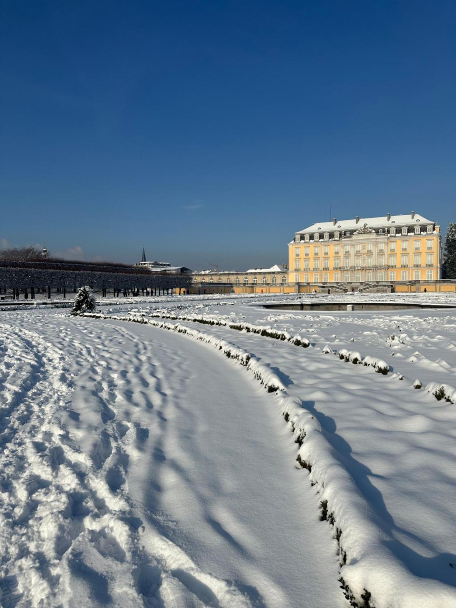 Stadtwohnung Bruehl Dış mekan fotoğraf